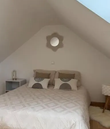 Joli Triplex Proche Colmar *